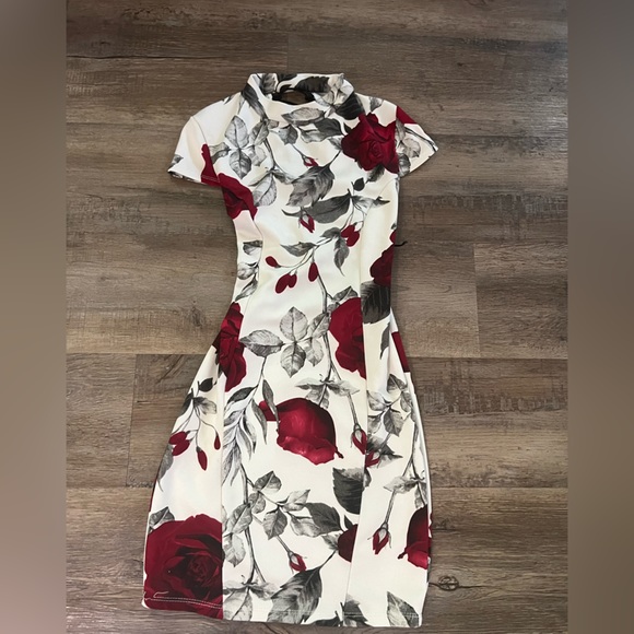 Discovery Rose Lace up mini Dress - Picture 4 of 6